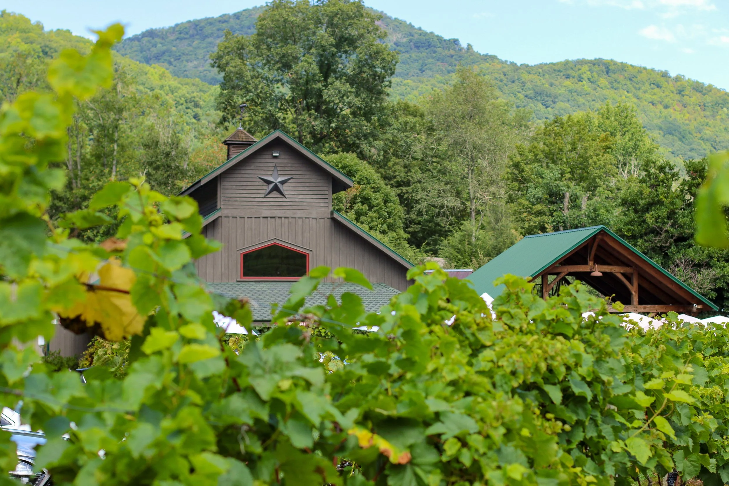 Grandfather Vineyard Winery NC mountains